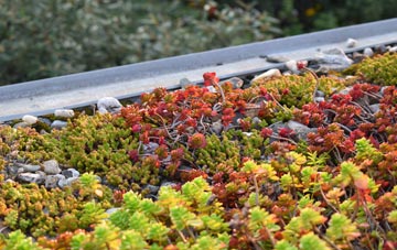 the cost of East Horrington green roof installation