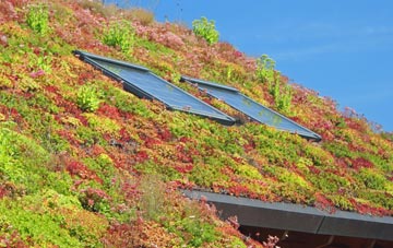 East Horrington living roof systems