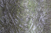 East Horrington fibreglass roof work